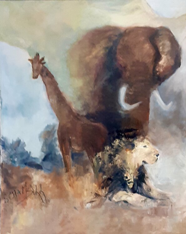 Afrique Sylvie Schambill