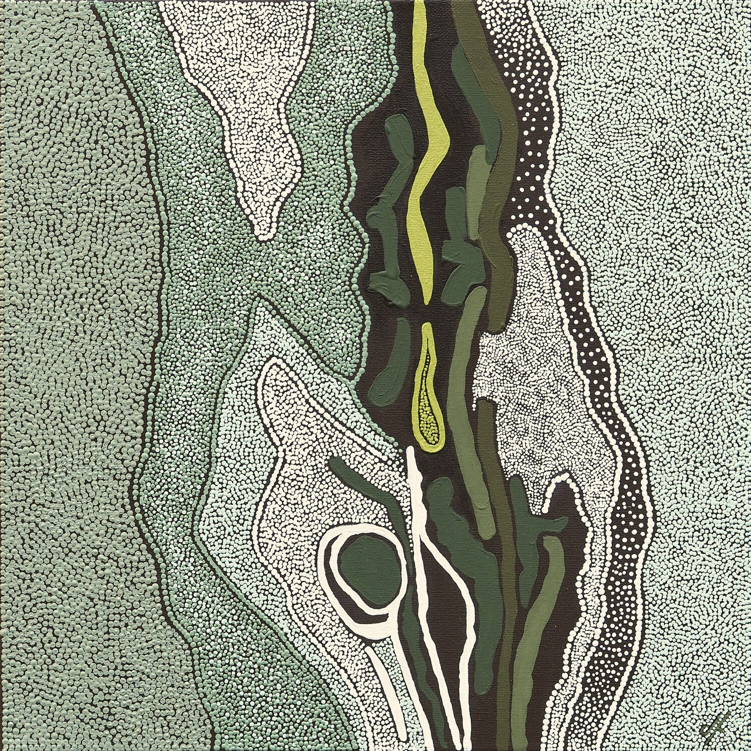 Sansevieria Delphine FRECHET