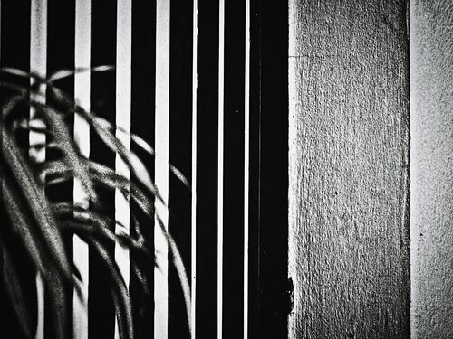 When Cooped Up In A Space par Hua Huang, Photographie en vente sur Singulart
