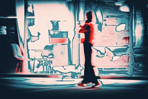Window Shopping (Whilst She's Walking A Dog) Hua Huang