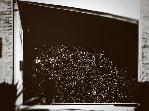 Faded von Hua Huang, Fotografie kaufen auf Singulart