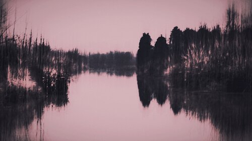 Almost Arcadia Hua Huang