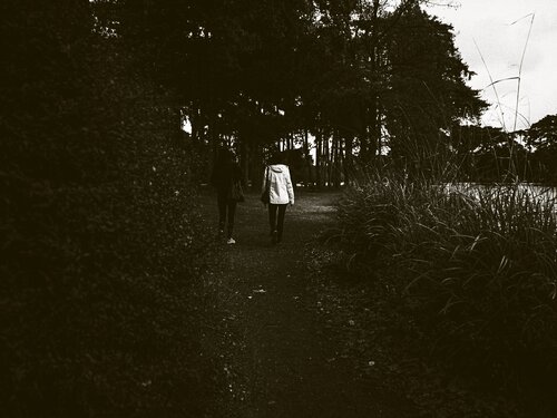 In Quest Of Peace And Quiet by Hua Huang, 사진 for Sale on Singulart