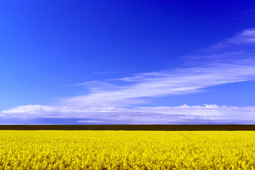 Blaugelber Horizont am nordischen Meer Klaus Schreiber