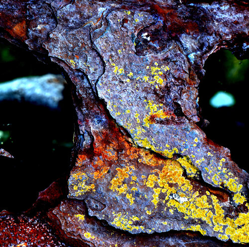 Bunte Farbe im Detail Klaus Schreiber