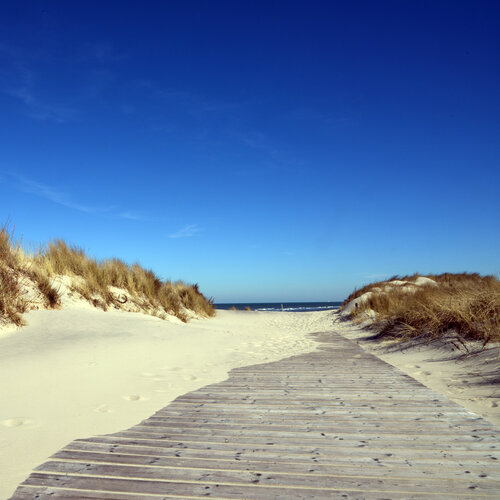 Weg zum Strand di Klaus Schreiber, Digitale in vendita su Singulart