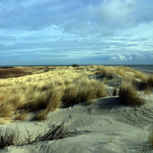 Weite der Dünen von Klaus Schreiber, Fotografie kaufen auf Singulart