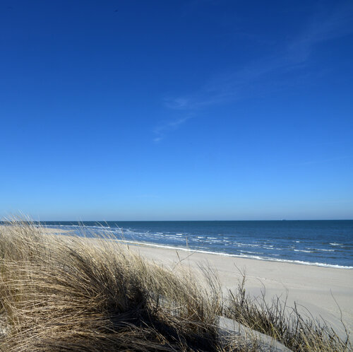 Inselfeeling an der Nordsee di Klaus Schreiber, Fotografia in vendita su Singulart