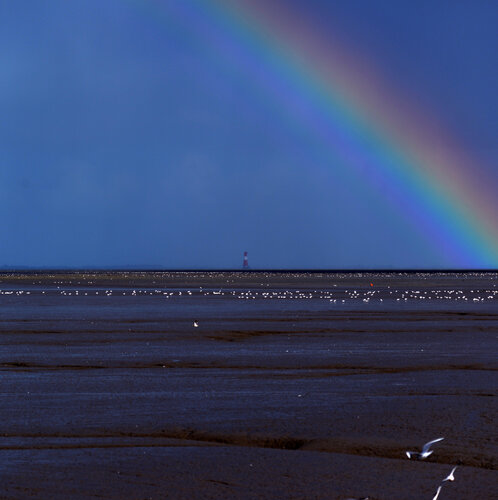 Regenbogen über der Nordsee di Klaus Schreiber, Fotografia in vendita su Singulart