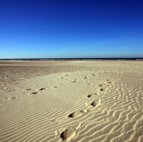 Zarte Spuren im Sand di Klaus Schreiber, Fotografia in vendita su Singulart