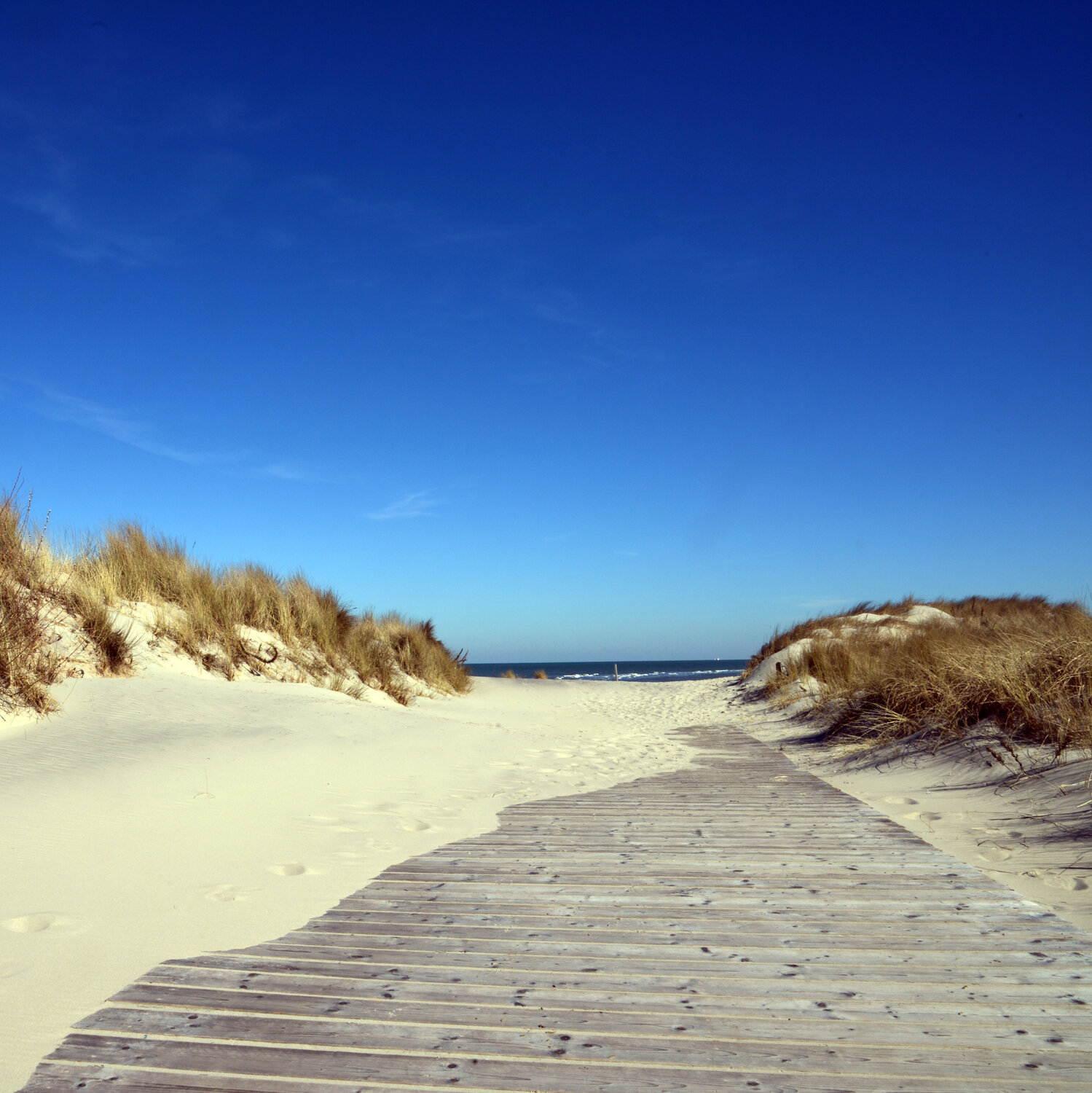 Weg zum Strand Klaus Schreiber