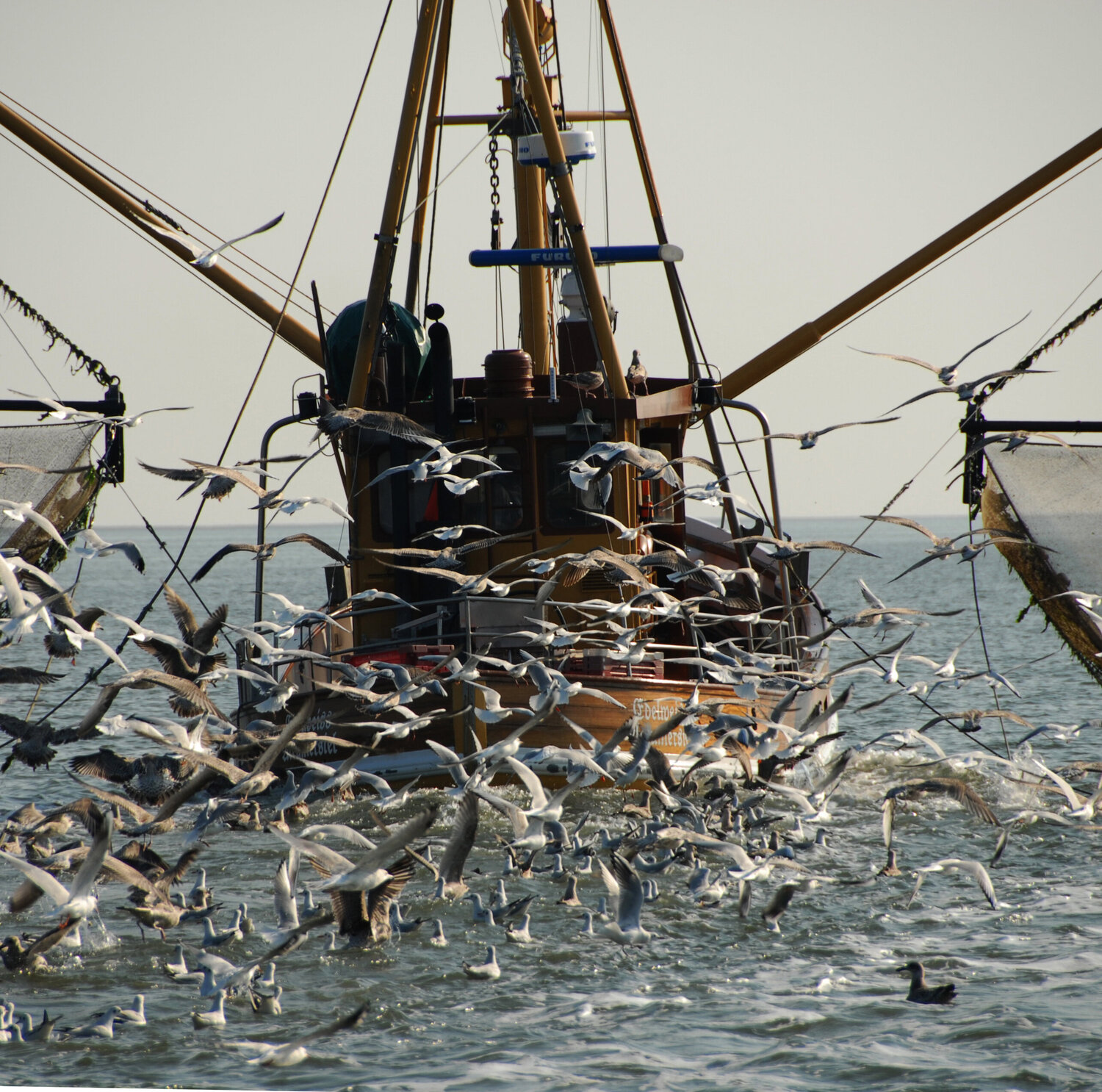 Fischkutter auf Fangfahrt Klaus Schreiber Fotografie zu verkaufen