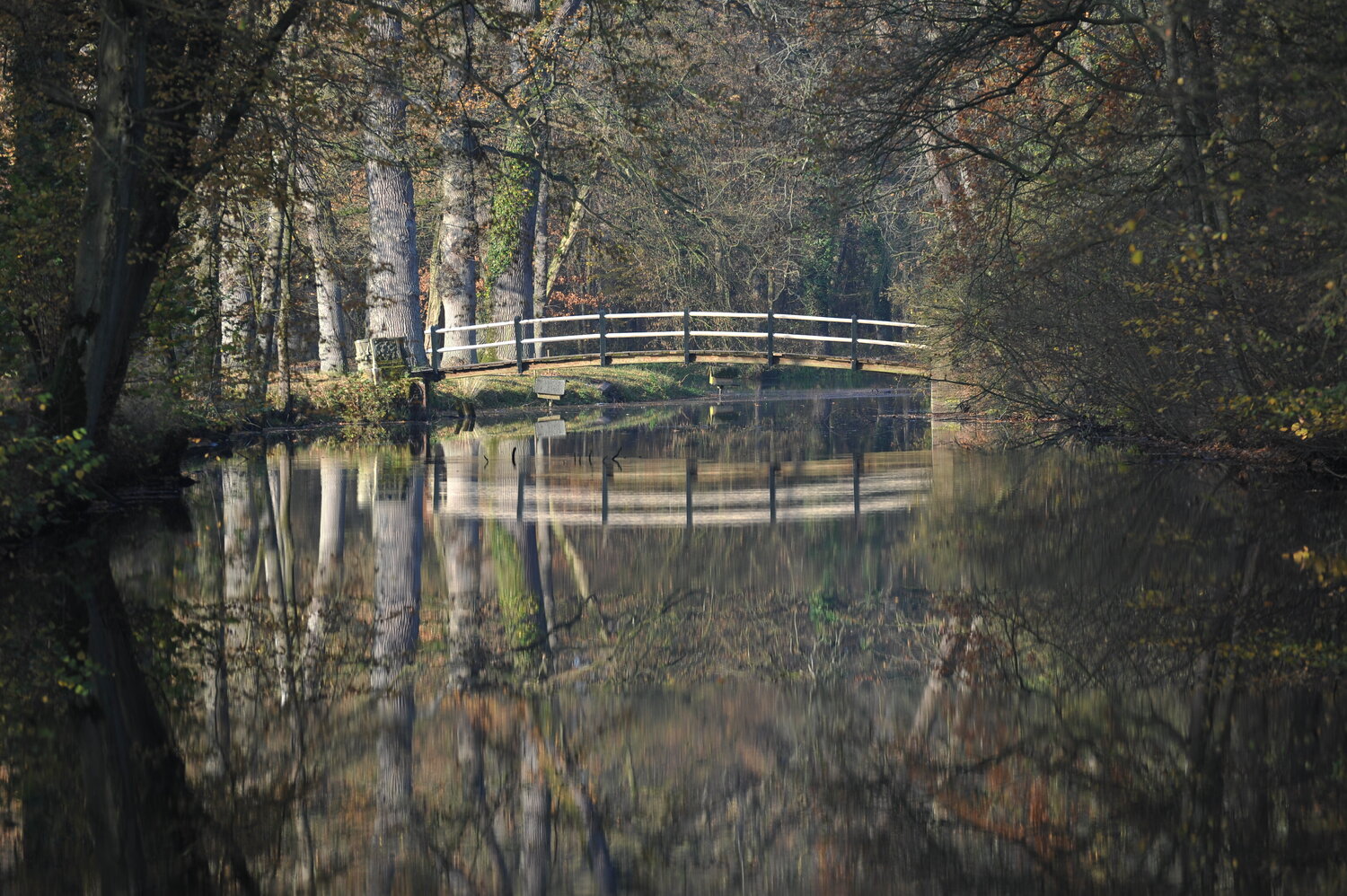 Herbstzauber am Schloßgraben Klaus Schreiber Fotografia in vendita