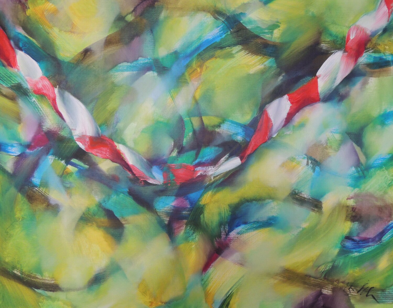 Grenz Linie-Border Line Sabine Schneider