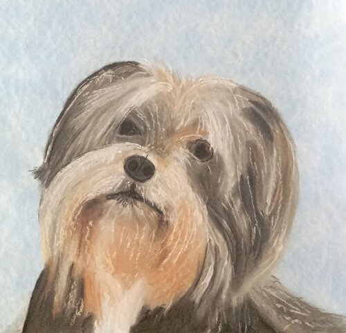 Frida by Sabine Hone, Work on Paper for Sale on Singulart