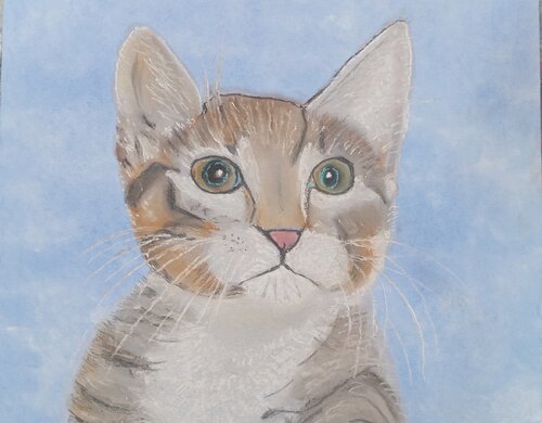 Eine Katze für Zina di Sabine Hone, Opera su carta in vendita su Singulart