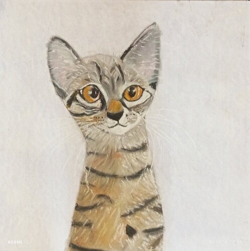 Eine Katze für ... di Sabine Hone, Opera su carta in vendita su Singulart