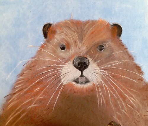 Ein Biber für ... by Sabine Hone, 油畫 for Sale on Singulart