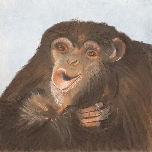 Ein Affe für ... di Sabine Hone, Opera su carta in vendita su Singulart