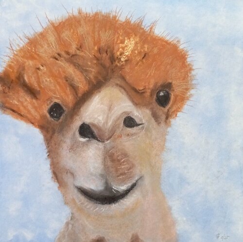 Ein Alpaka für ... di Sabine Hone, Opera su carta in vendita su Singulart