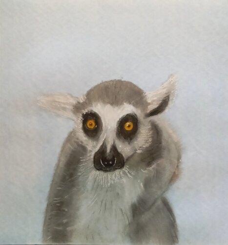 Ein Lemur für ... di Sabine Hone, Opera su carta in vendita su Singulart