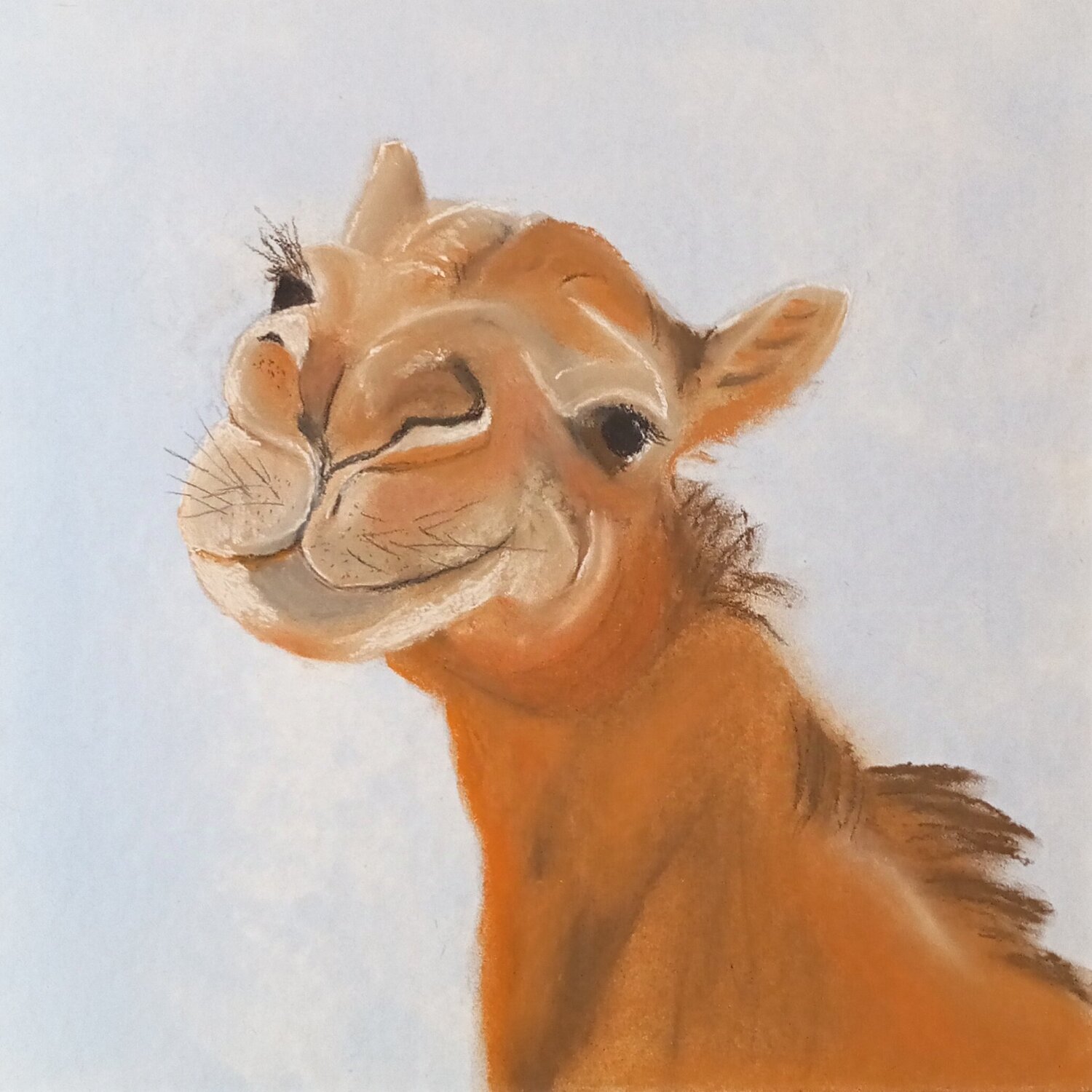 Ein Kamel für Ranya Sabine Hone