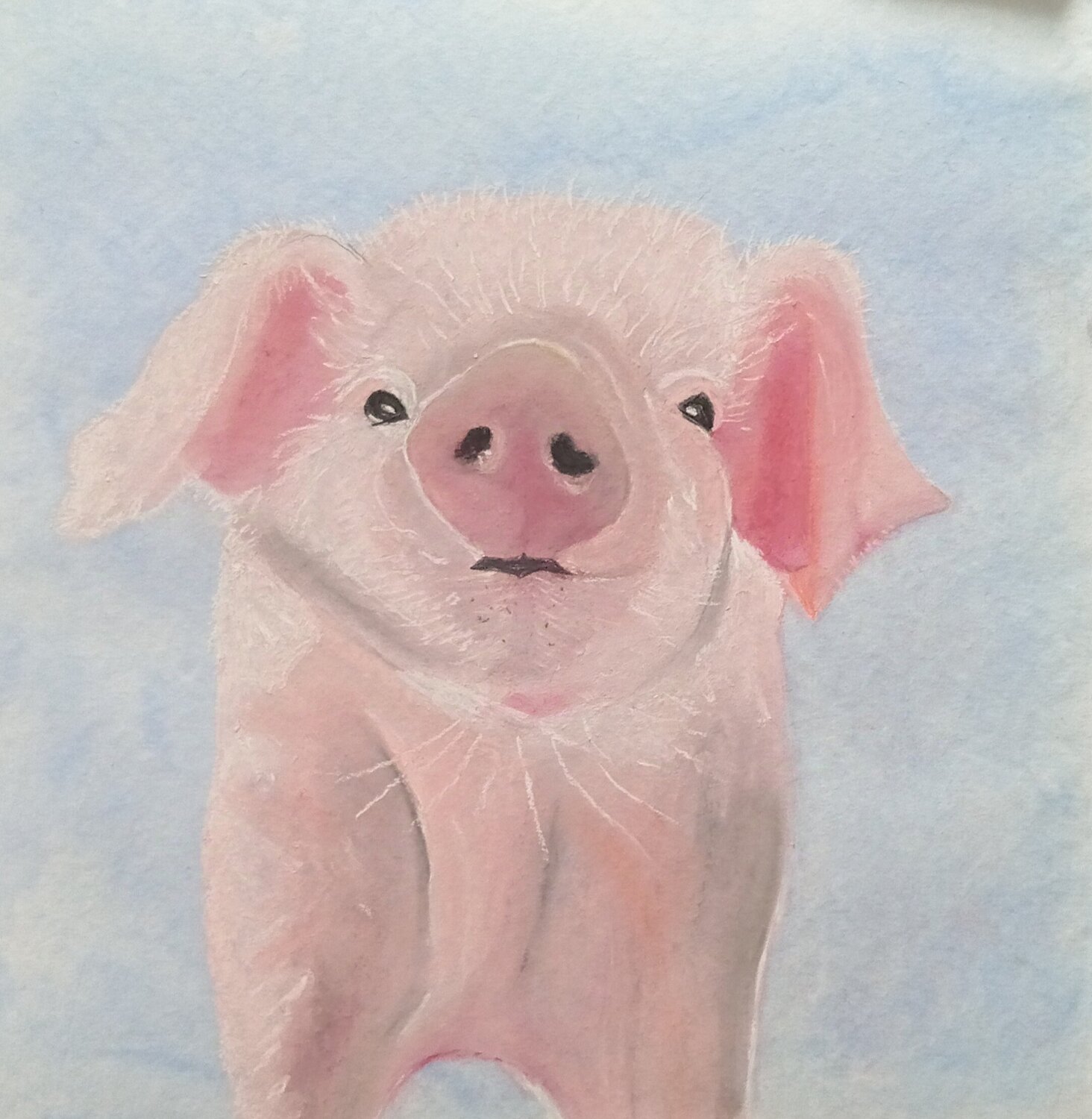 Ein Schweinchen für ... Sabine Hone