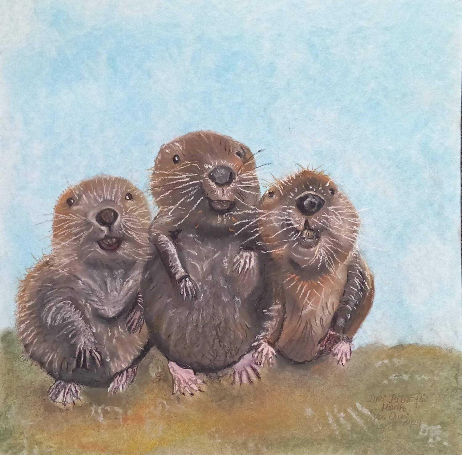 Drei Biber für Moritz Sabine Hone