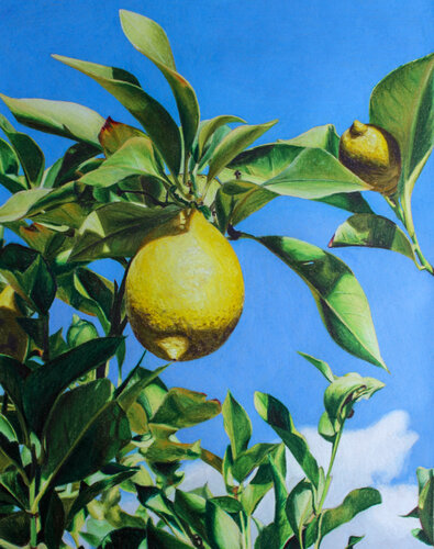 When Life Gives you Lemons by Maria Deely, 소묘 for Sale on Singulart