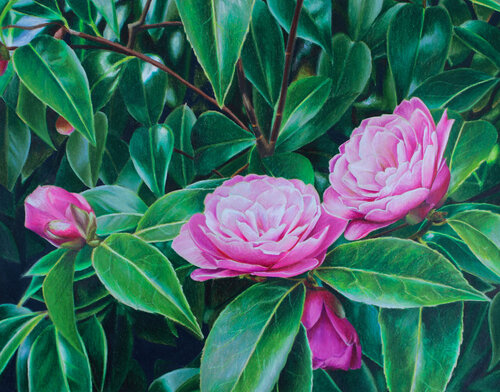 Blarney Flowers de Maria Deely, Dibujo a la venta en Singulart