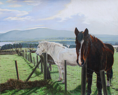 Horses in the Emerald Isle von Maria Deely, Zeichnungen kaufen auf Singulart