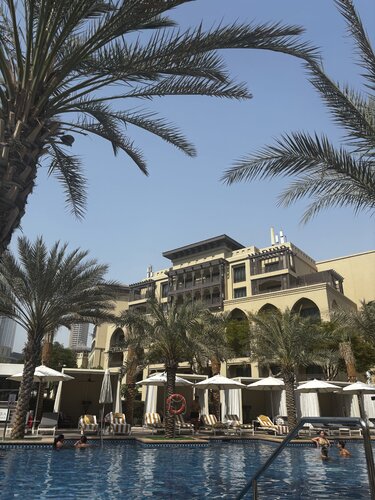 Palm Lined par Holly Wood, Photographie en vente sur Singulart