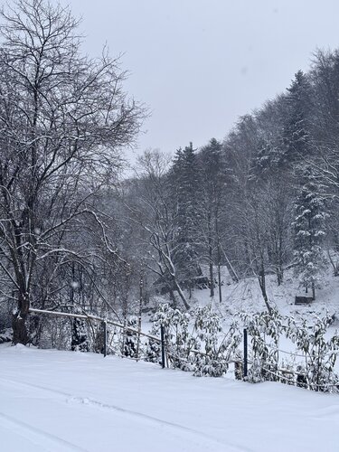 Off-White van Holly Wood, Fotografie te koop op Singulart