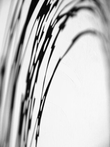 spinn by Olli Boehm, Other Media for Sale on Singulart