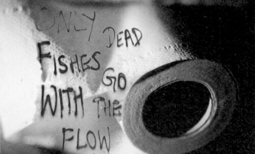 Only dead fish... di Olli Boehm, Fotografia in vendita su Singulart