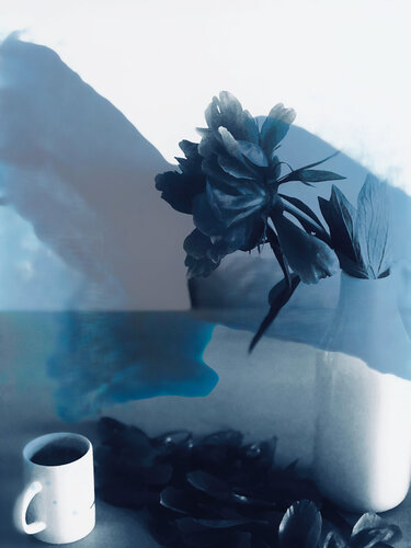 Caffee e fiori. di Olli Boehm, Altri media in vendita su Singulart