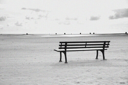 Bank by the sea Olli Boehm