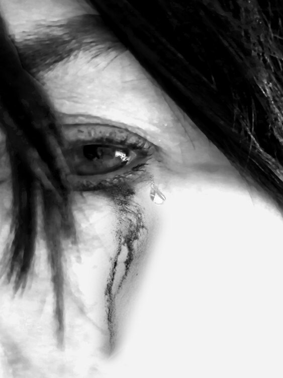 „I‘m sorry dear earth“ Olli Boehm