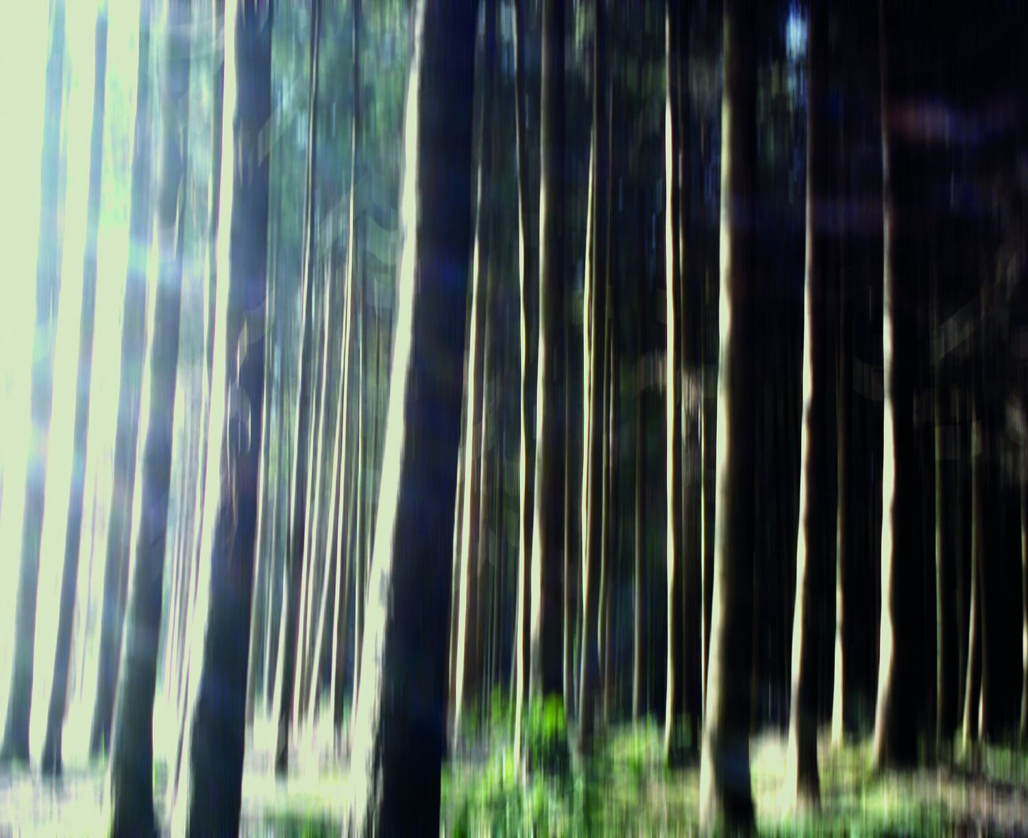 Wood-Lines Olli Boehm