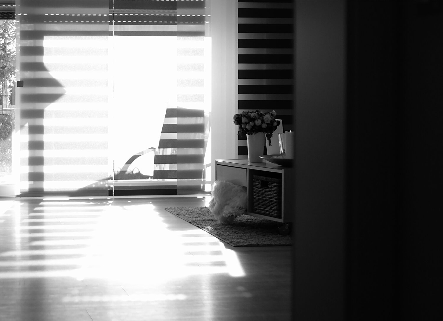 "She's gone" Olli Boehm Fotografie te koop