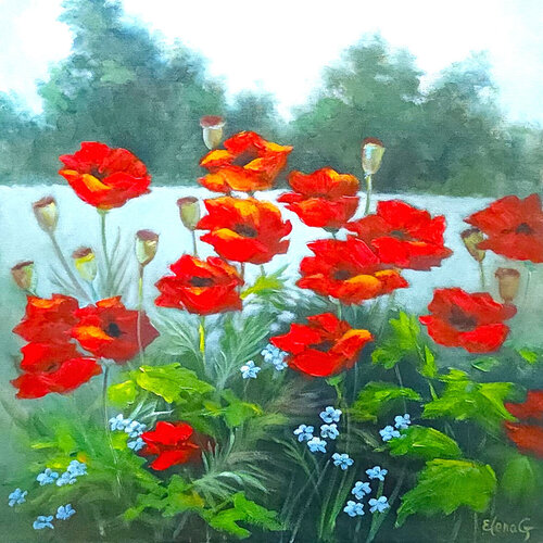 In a Field of Poppies by Elena Gaevskaya, Painting for Sale on Singulart