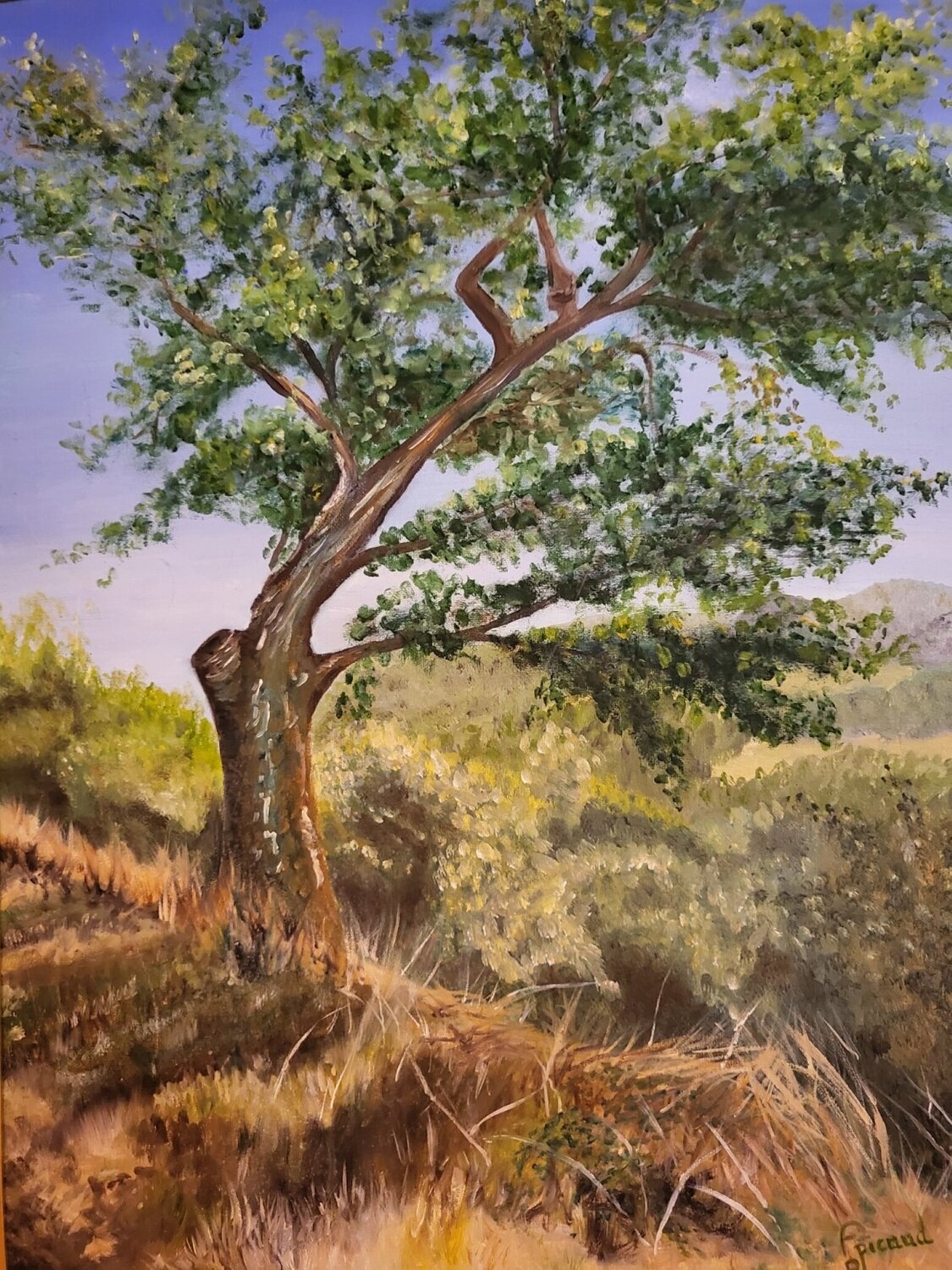 Arbre en Aubrac Frédérique Picaud