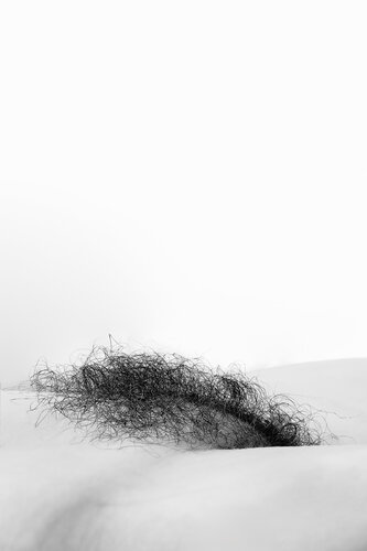 Porno: Kokrak tushishi, kokraklar bilan tozalash Toshakda yalangoch qizning fotoshop shabloni.