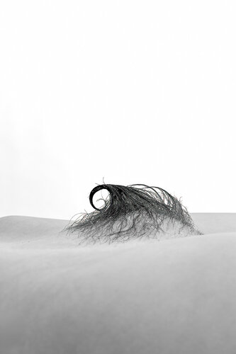 Venus № 11 (Tetjana) di Ivan in Abstracts, Fotografia in vendita su Singulart