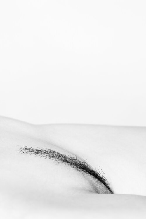 Venus № 3 (Kathe) Ivan in Abstracts