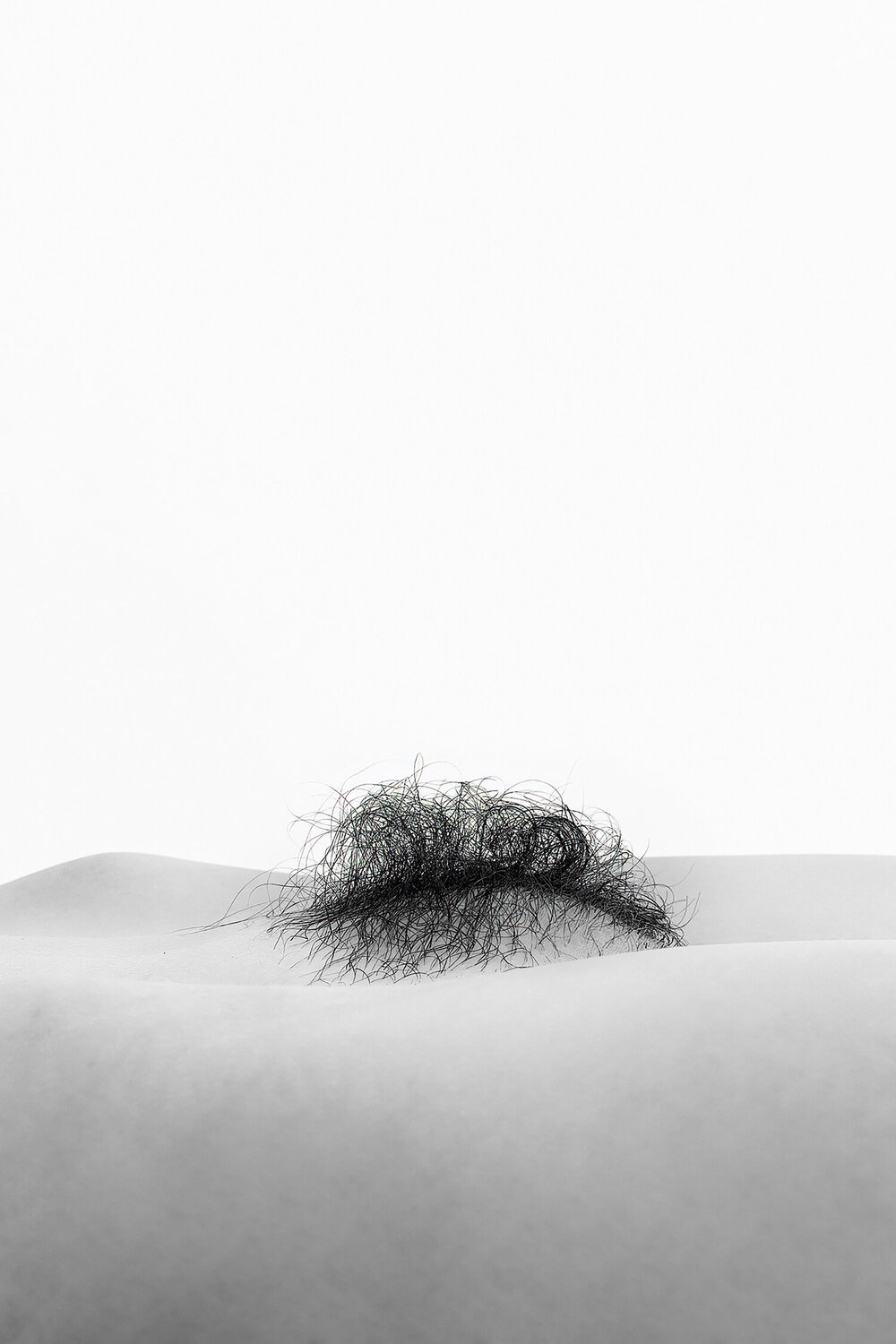 Venus № 10 (Tania) Ivan in Abstracts