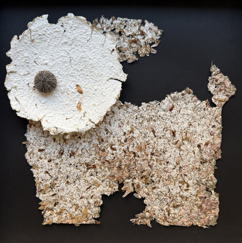 The Blossom Hound von günes evrim yilmaz camurlu, Andere Medien kaufen auf Singulart