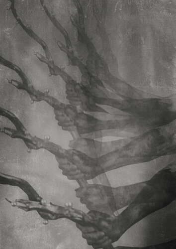 Penglai #10 di Qiaosi Chen, Fotografia in vendita su Singulart