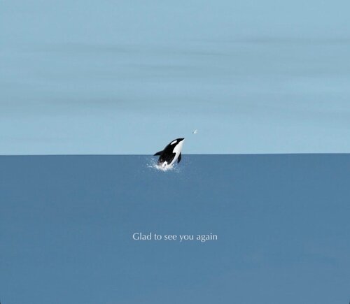 Glad to see you Again (Whale) von Suntur, Druck kaufen auf Singulart