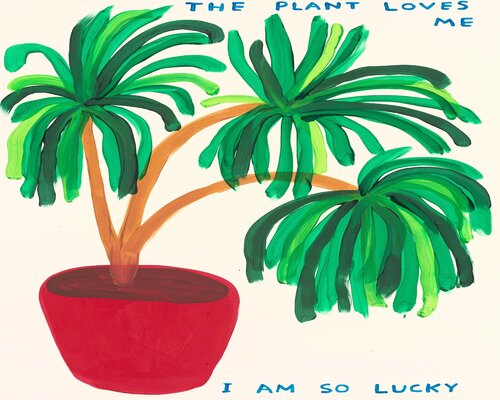 The Plants Love Me I Am So Lucky von David Shrigley, Druck kaufen auf Singulart